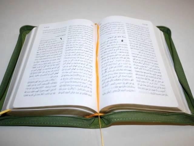 Green Arabic Language Luxury Leather Bound Bible