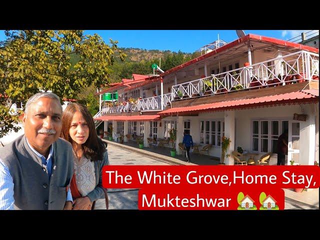 The White Grove Home Stay in Mukteshwar || Best Home Stay || Property in Mukteshwar #nainital