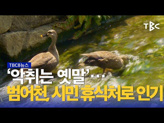 ‘악취’ 범어천, ‘쉼터’로 변신 230524ㅣTBC뉴스