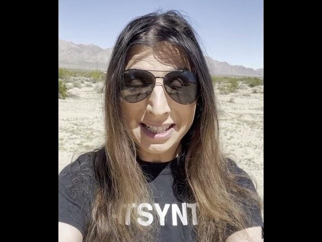 CatSynth in Wonder Valley, California #shorts