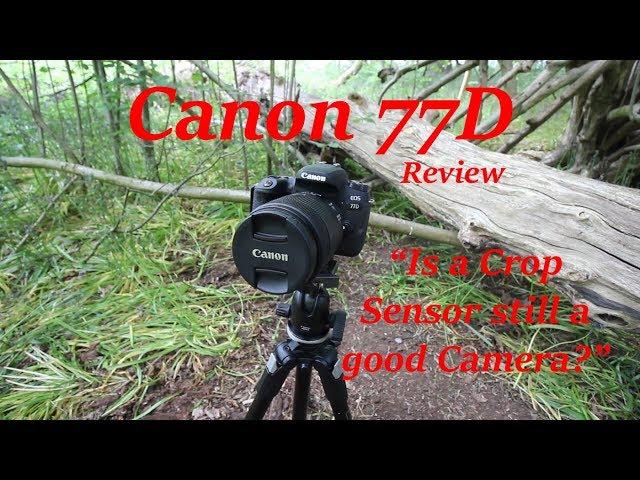 Canon 77D - 6 Month Review - Is a Crop Sensor Still a Good Camera?