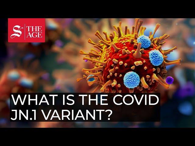 What is the COVID JN.1 variant?