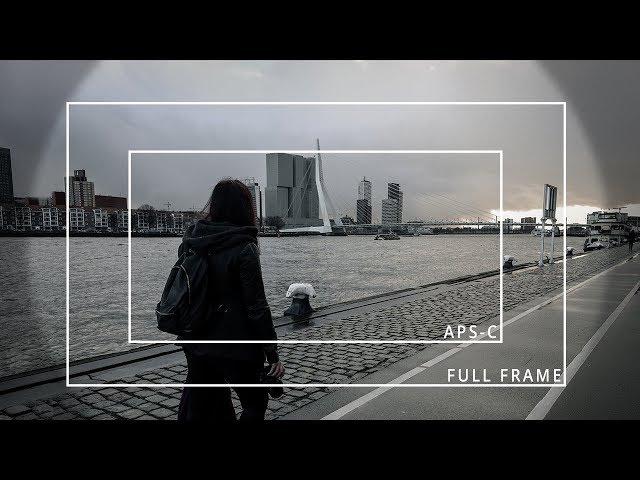 APS C vs FULL FRAME for Video | Guide to Buy DSLR Camera for Beginners