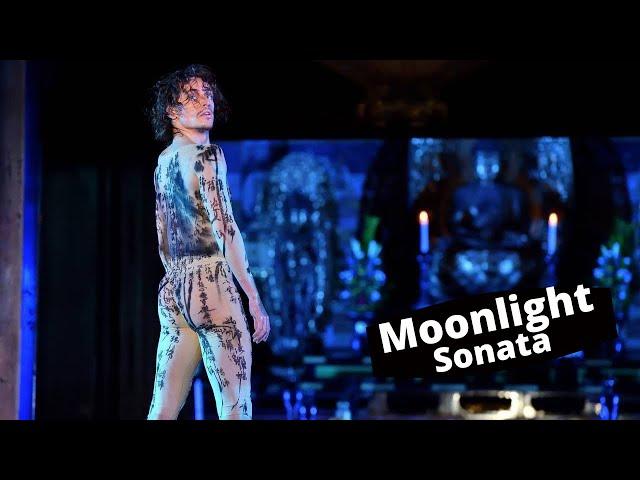 Moonlight Sonata - Sergei Polunin, Otobutai Festival, Japan