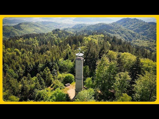 Brandeckturm | Schwarzwald #schwarzwald #brandeckturm #wandern #aussicht #outdoorscape