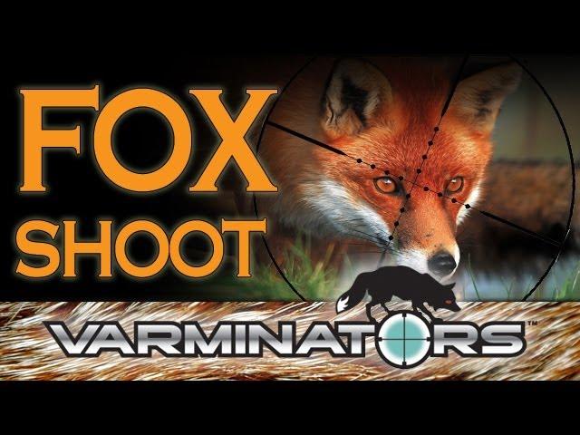 Varminators: Walked Up Fox Shooting