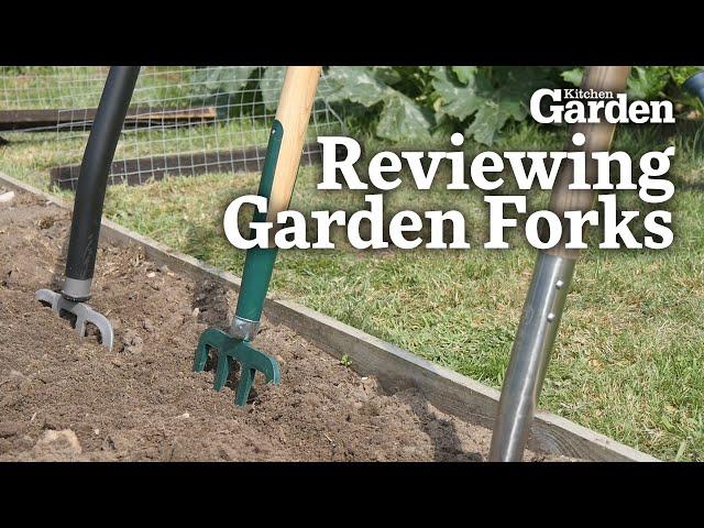 Reviewing Garden Forks