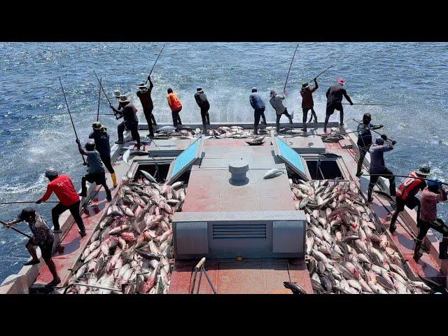 Full video of how we catch skipjack tuna watch till the end 