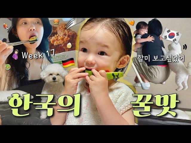 Experience the Taste & Love of Korea!Pregnancy Life Only Possible in KoreaKorea Vlog Ep. 2