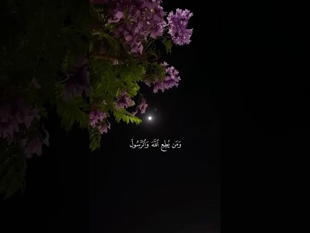 تلاوة من القرآن الكريم بصوت الشيخ علي جابر - رحمه الله | سورة النساء من آية ٦٩ إلى آية ٧٠ |