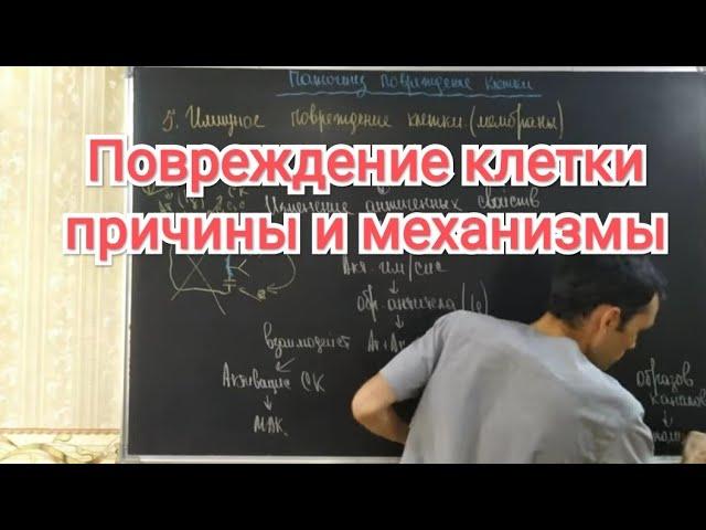 Патофизиология. Повреждение клетки-1 часть. Этиология и патогенез.