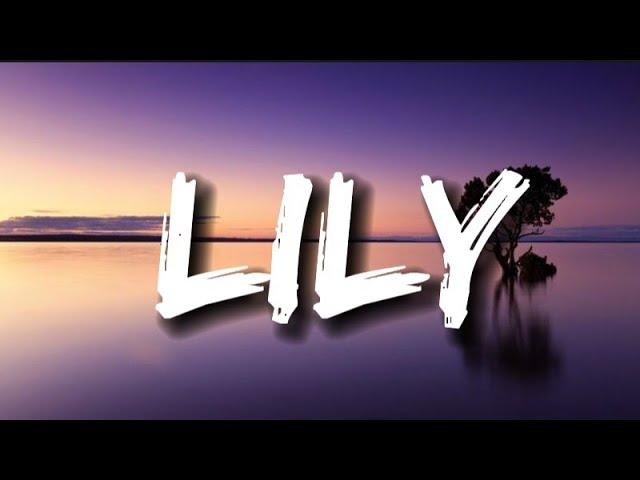 Alan Walker, K-391 & Emelie Hollow - Lily (Lyrics)