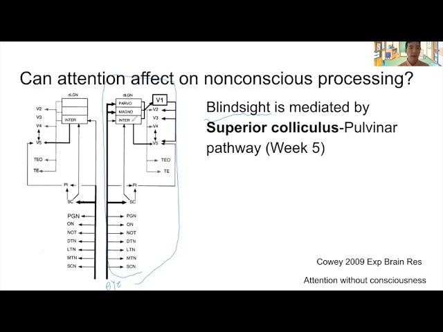 Week 9 Neural basis of consciousness: Dissociation of consciousness & attention