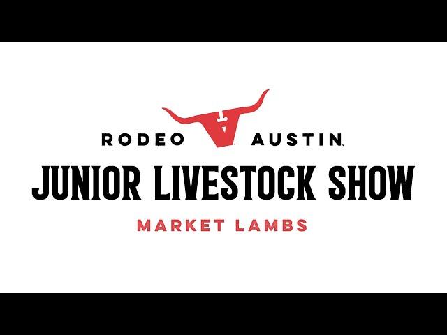 Rodeo Austin Livestock Show 2023 - Market Lambs