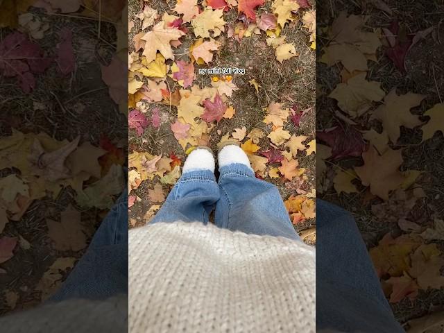 ny mini fall vlog #fallvlog #fallseason #shortsfeed