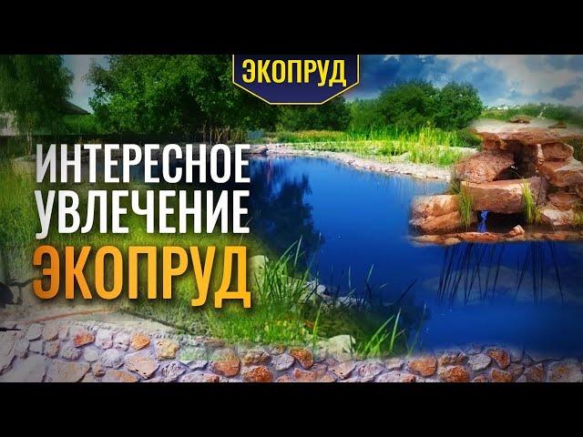 Интересное увлечение Экопруд