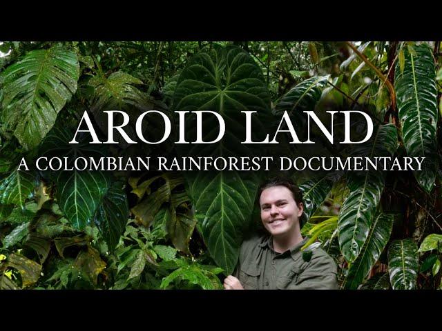 Aroid Land: A Colombian Rainforest Documentary | 4K