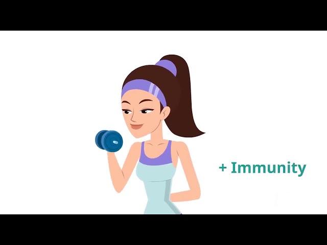 I-FERN's Company Profile and Product Presentation [English]