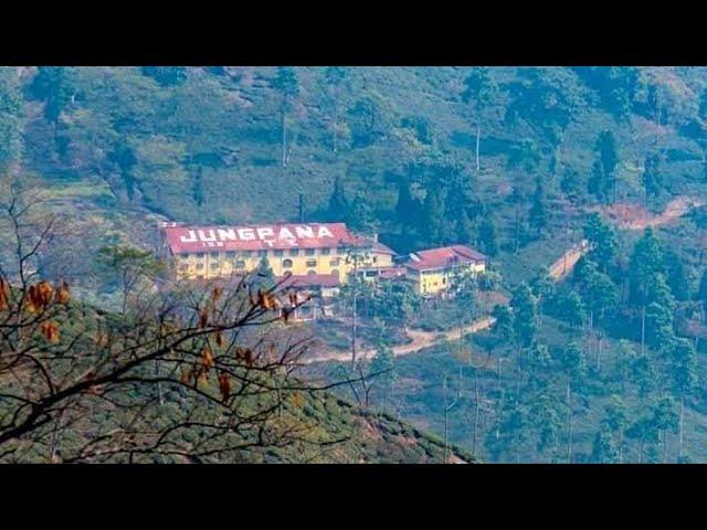 'Resort plans': Trouble brews in Jungpana tea garden/Detailed report