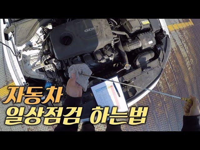 자동차 일상점검 하는법 / 차알못도 가능!