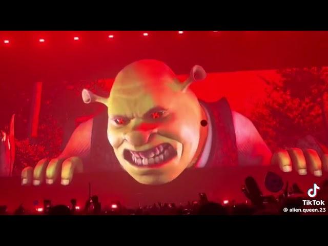 Shrek rave ‼️‼️