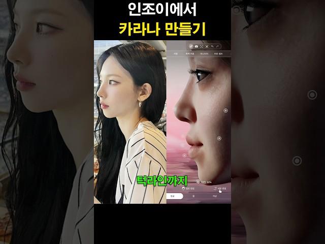 인조이에서 카리나 만들기