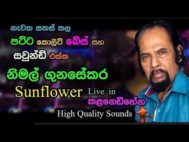 Nimal gunasekara with Sunflowers | Live in Kalagedihena | Re Created  Sounds