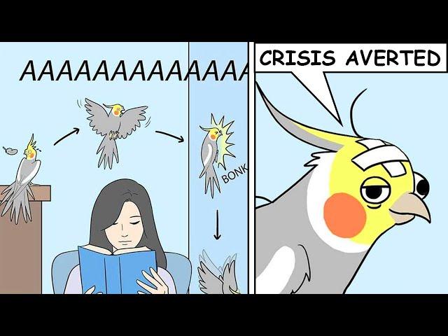 Funny Comics With Parrot Thought Twist #4 | Parrot Comic Dub