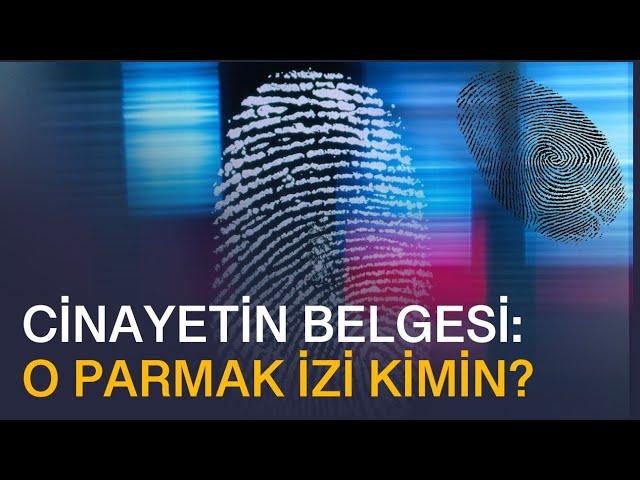 Hepsi Belgeli: Bir Gün O Dosyalar Açılacak