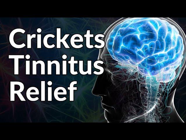 Absolute BEST Cricket Sounds To BLOCK Tinnitus