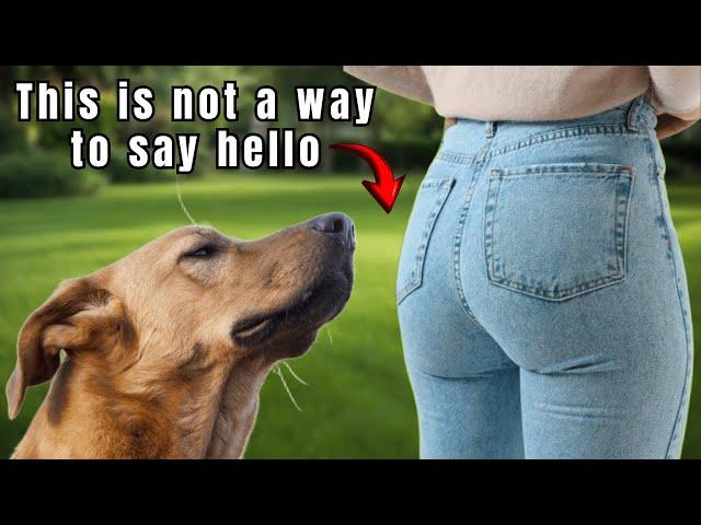 DOGS SNIFFING BUTTS Discover the Strange Reason Before Your Dog Does It Again!