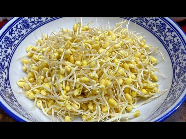 Buy bean sprouts later and do it with me. They are crisp  tender and refreshing. They are more deli