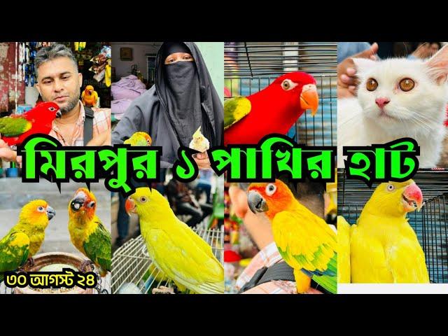 নানা রঙ্গের পাখিতে জমে উঠেছে মিরপুর ১ পাখির হাট | Mirpur 1 Pakhir Hat | Birds Price BD #viralvideo