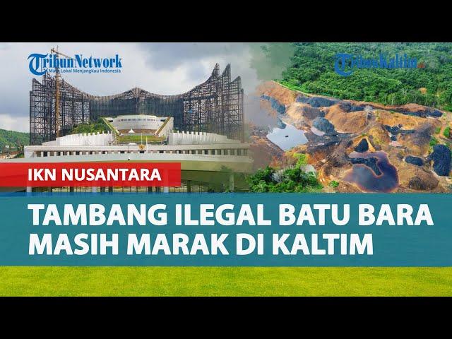 DPR RI Soroti Kaltim Sebagai Lokasi Pembangunan IKN Nusantara, Tambang Ilegal Batu Bara Masih Marak