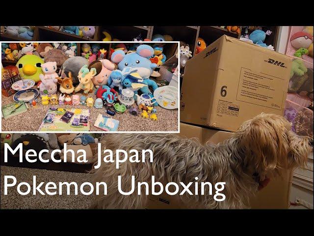 Unboxing Pokemon Merchandise from Japan, Meccha Japan online order