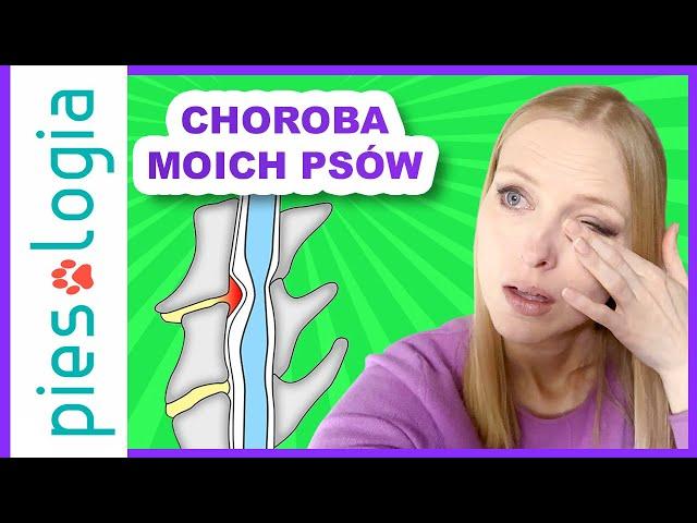 Choroba moich psów, czyli zespół Wobblera