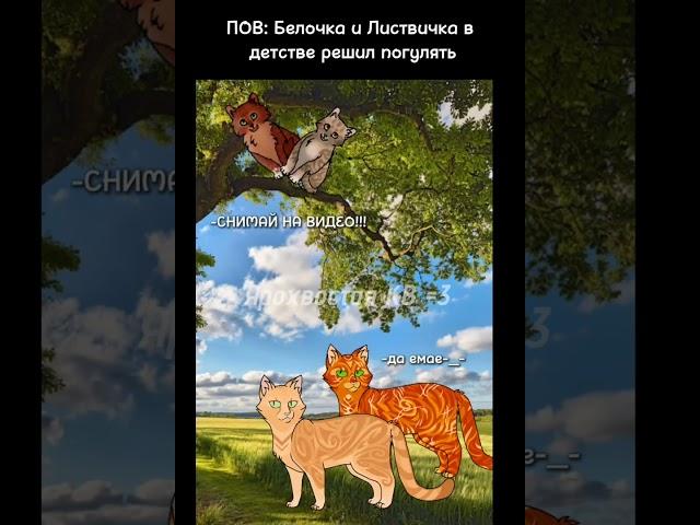 Пов: Белочка и Листвичка в детстве решили погулять: #котывоители #прикол #мем #кв