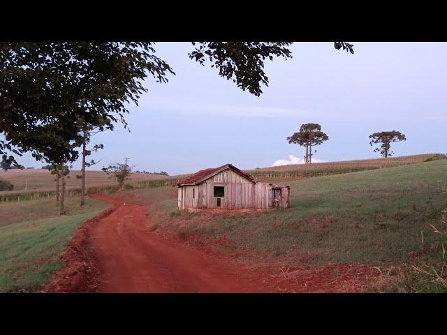 Idoso Sentia Muito Calor Durante a Noite e Só Dormia de Portas Abertas, Até Receber a Visita 1 Onça