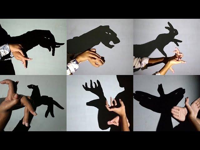 Hand shadow Performance III Make Animals By Hand shadow - Shadowgraphy - shadoes