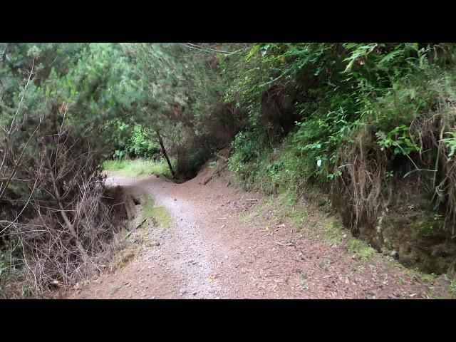 Waikato River Trail - Waipapa to Mangakino