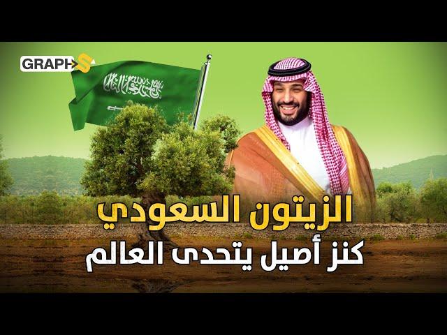 نفط السعودية الأخضر.. ملايين أشجار الزيتون تزرع في الصحاري