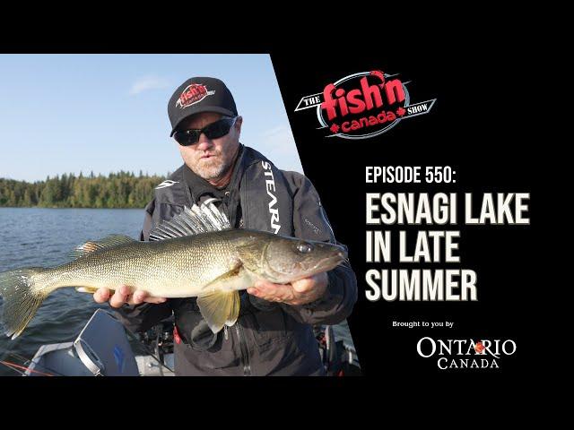 CRAZY WALLEYE IN NORTHERN ONTARIO | The Fish'n Canada Show Episode 550: Esnagi Lake in Late Summer