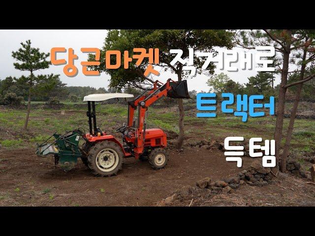 동당 Vlog - 당근마켓 직거래로 중고 트랙터 사다!