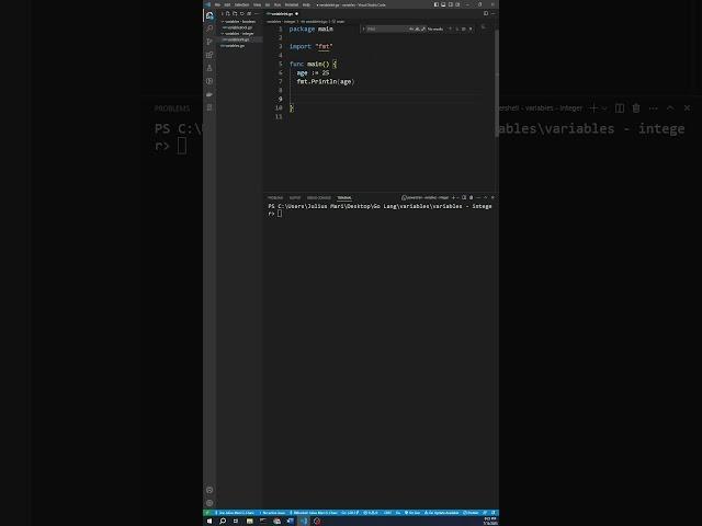 Go Language: Variable Integer