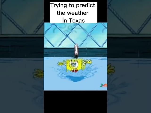 Trying to predict the weather in Texas #spongebobsquarepants