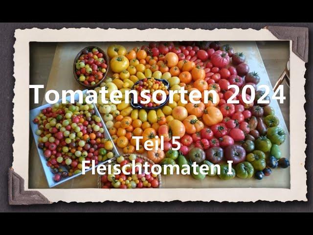 Tomatensorten 2024 Teil 5 - Fleischtomaten I