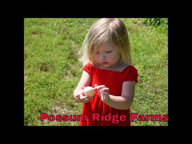 Possum Ridge Farms