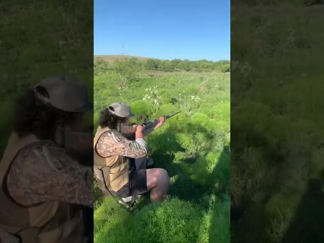 When dove hunting gets boring