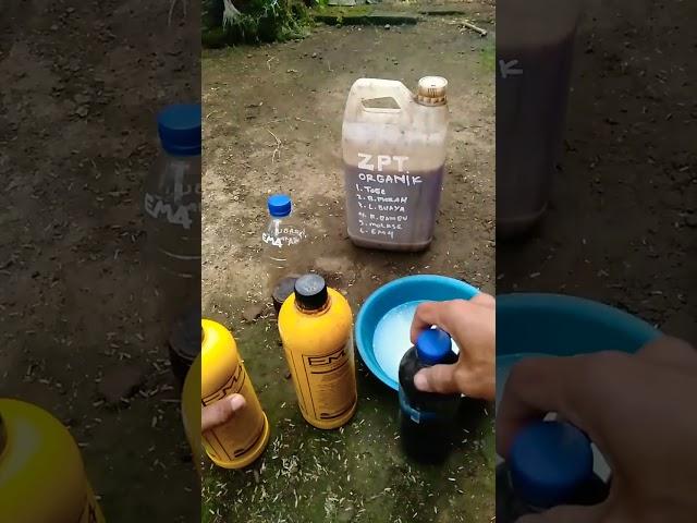 Cara simpel membuat EM4 Aktif️modal 1Liter bisa jadi puluhan liter