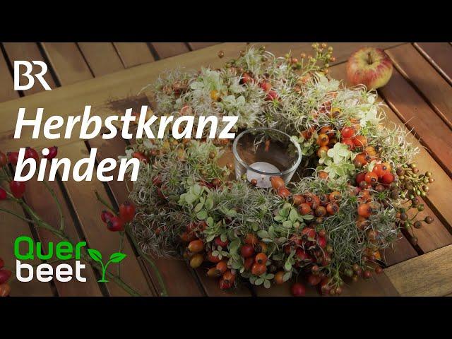 Herbstkranz binden – Tipps von Sabrina